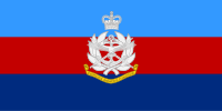 Flag of the AFOI