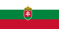 Flag of New Hungary
