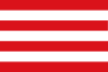 Civil Flag