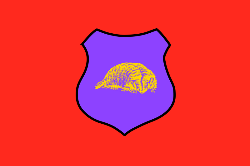 File:Mnflag.png