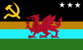 The flag of Baffin-Skokholm, an autonomous island region in Wales. This flag features the colours of the Libya and South Sudan flag, one of the most dangerous and least developed macro-nations in the world.
