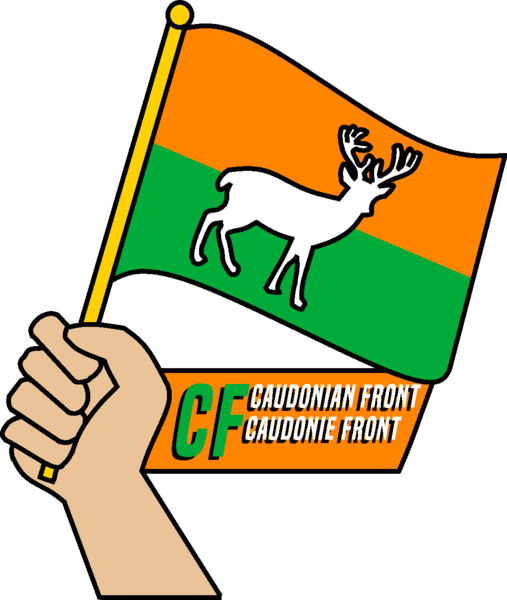 File:CF logo new.png