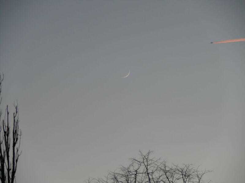 File:Photo of the Moon taken by the SFSA 1.jpg
