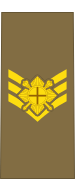 File:Baustralia Army OR-7 (Royal Baustralian Regiment).svg