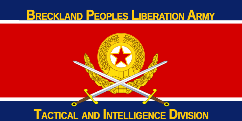 File:Armyflag1.png