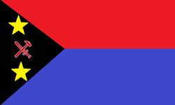 Flag of AMSNP.jpg