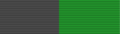 Order of the Mast In The Woods Ribbon.png