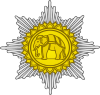 Order of Diplomatic Service Merit (Vishwamitra) - Badge.svg