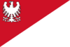 Flag of Troysvilles