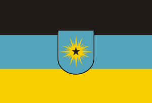 official flag