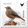 No 10. - Birds - Redstart, 2020