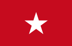 Flag of Parque