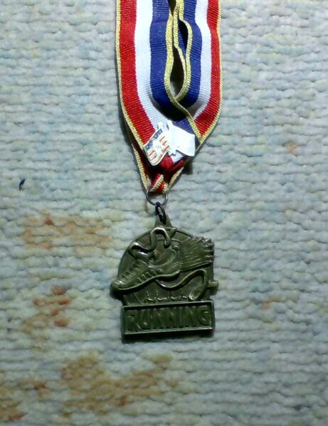 File:Order of North America medal.jpg
