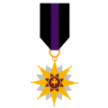 Civil War Medal.png