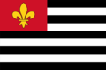 Present-day national flag