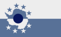 Flag of Republic of New Katy