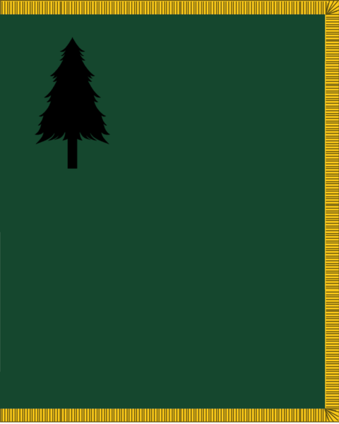 File:Infantry Regimental Flag.png
