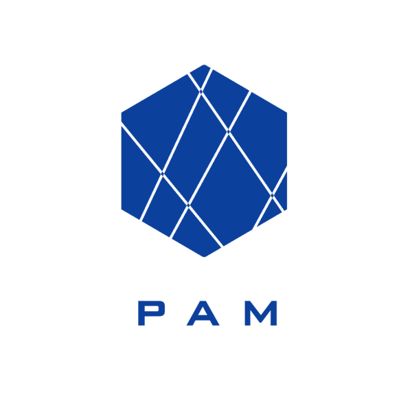 File:Logo of the PAM.png