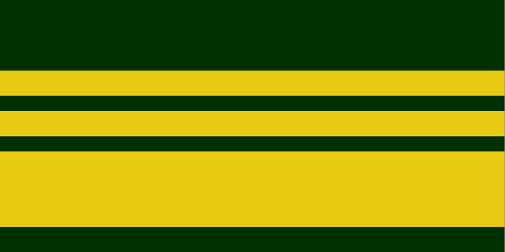 File:Command flag of a Lieutenant General.svg