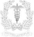 Badge of the Medical Branch.svg