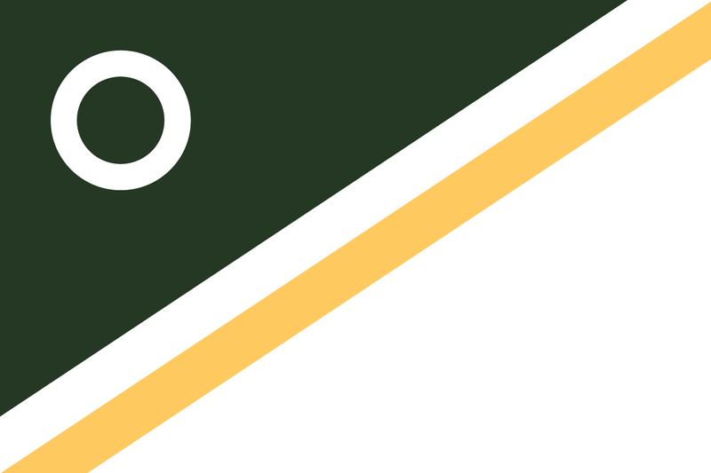 File:2020 flag.png
