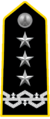Lieutenant_General.png‎