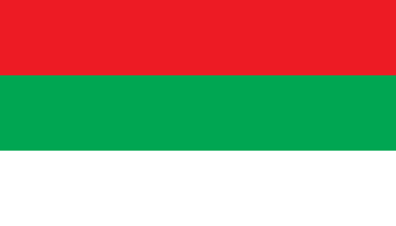 File:Flag of Svetlorussia.png