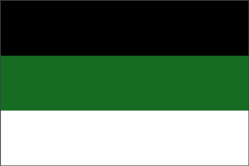 File:Flag of Tiana.png