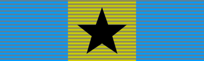 File:Knight - Order of Dawn.png
