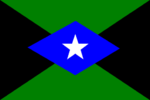 Larger The Royal Independent State Of The Dale Empire Flag.png