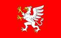 Flag of Dębica