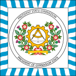 Presidential stadard of the Gymnasium State.svg