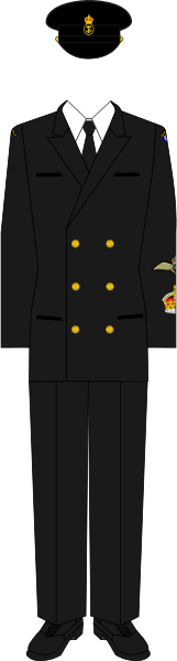File:Uniform of a Petty officer, 1st class (NAirA).svg