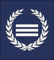 ROC Chief Observer Insignia.png