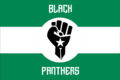 Black Panther Party: Direct Action!