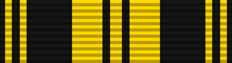 File:Grand Victoria Medal .png