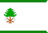 Flag of Gotanagar.svg