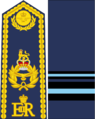 Royal West Canadian Air Force Air Vice-Marshal.png