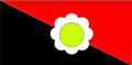 Original depiction of the 2018 flag