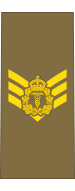 File:Baustralia Army OR-7 (Medical).svg