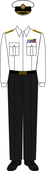 File:John I in Service Dress (Summer, without tie).svg