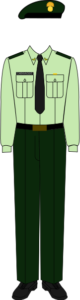 File:The 1st Prince of Kingston in Service Dress (Summer).svg